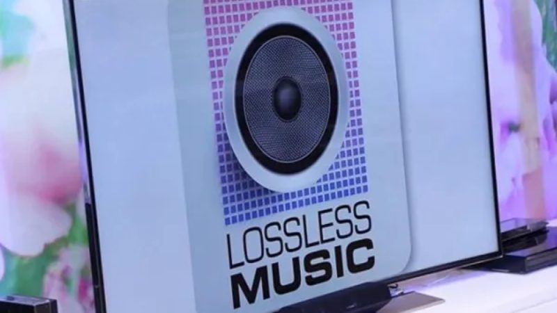 nhac-lossless-10