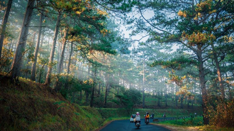 anh-da-lat-35