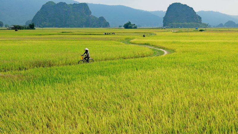 hinh-anh-binh-yen-lang-que-tinh-lang-18