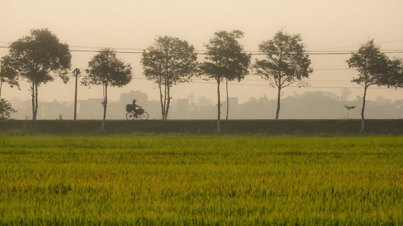 hinh-anh-binh-yen-lang-que-tinh-lang-23