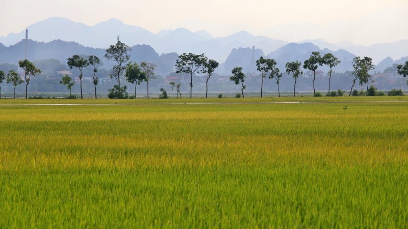 hinh-anh-binh-yen-lang-que-tinh-lang-24