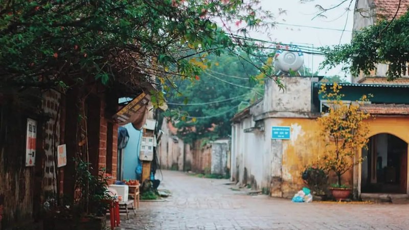 hinh-anh-binh-yen-lang-que-tinh-lang-31