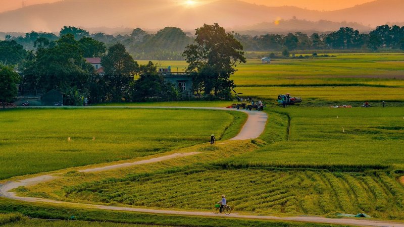 hinh-anh-binh-yen-lang-que-tinh-lang-4