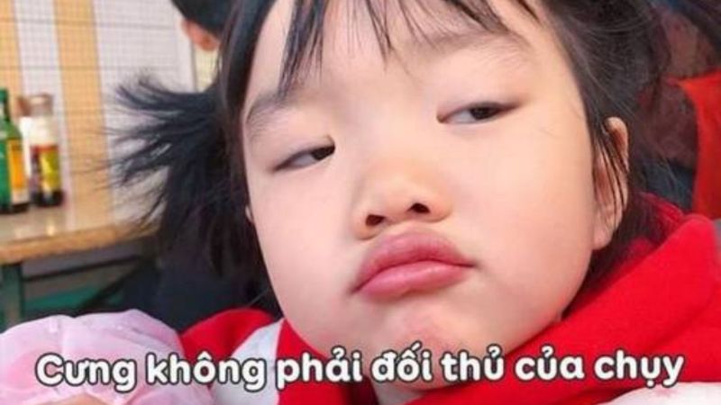 hinh-anh-vui-nhon-26