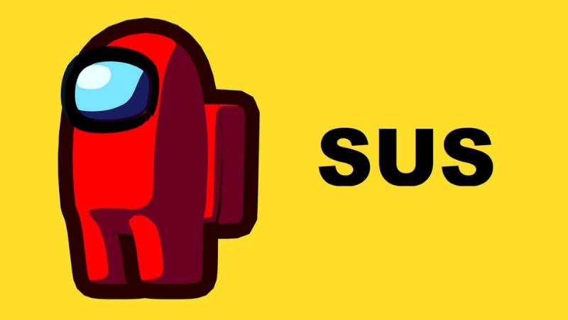 sus-la-gi-7