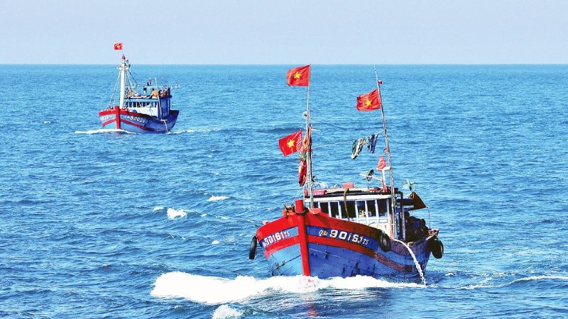 duong-luoi-bo-la-gi-6