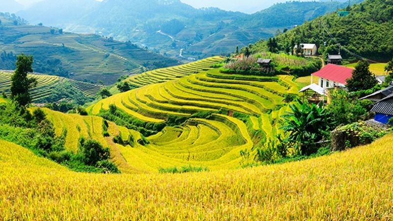 anh-dong-que-26