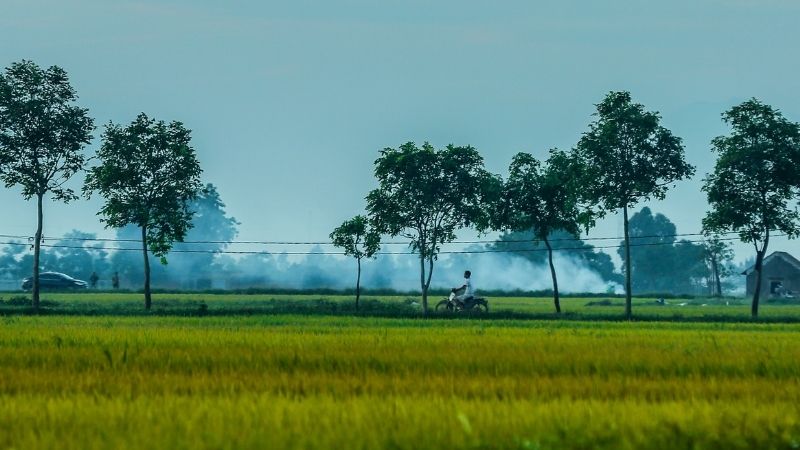 anh-dong-que-63