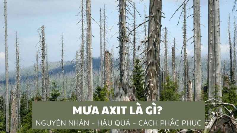 mua-axit-1
