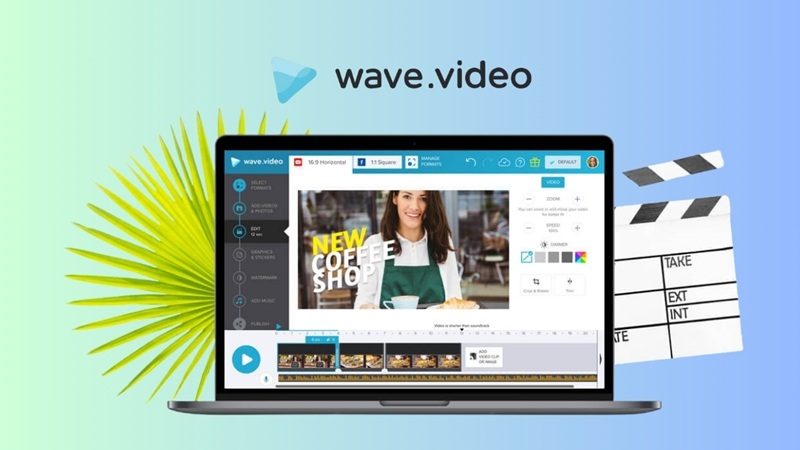 wave-video-2