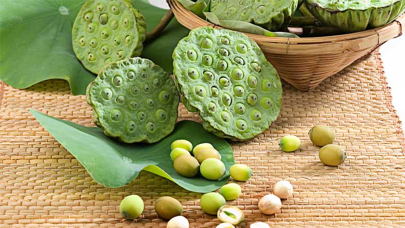 cach-nau-chao-chim-bo-cau-4