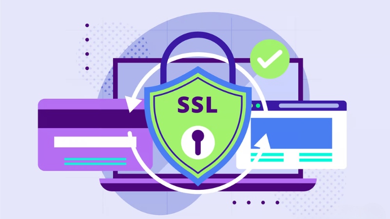 SSL-6
