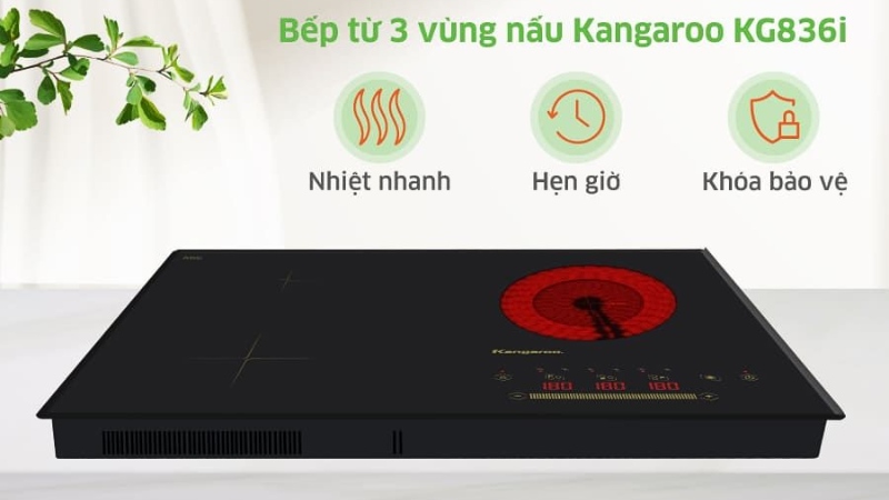 Bep-tu-Kangaroo-10