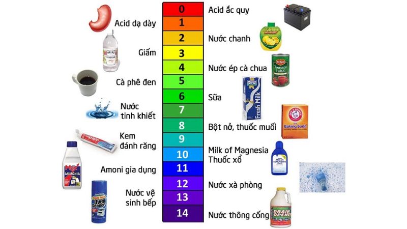 quy-tim-9