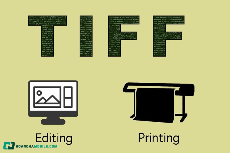 file-anh-05