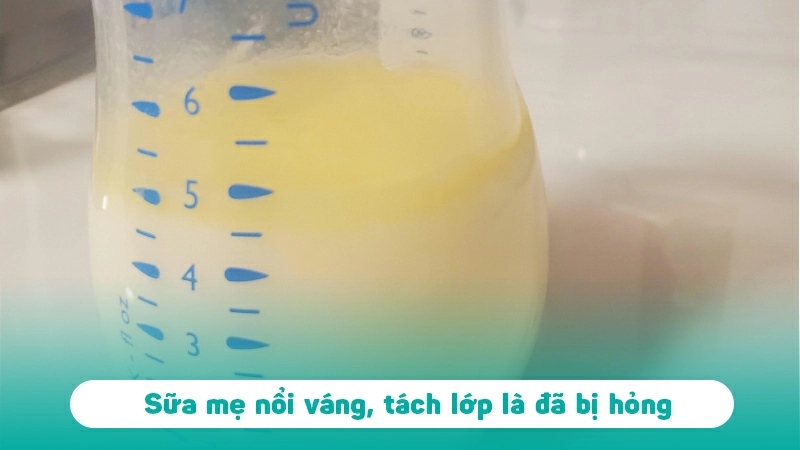 hinh-anh-sua-me-bi-hu-5