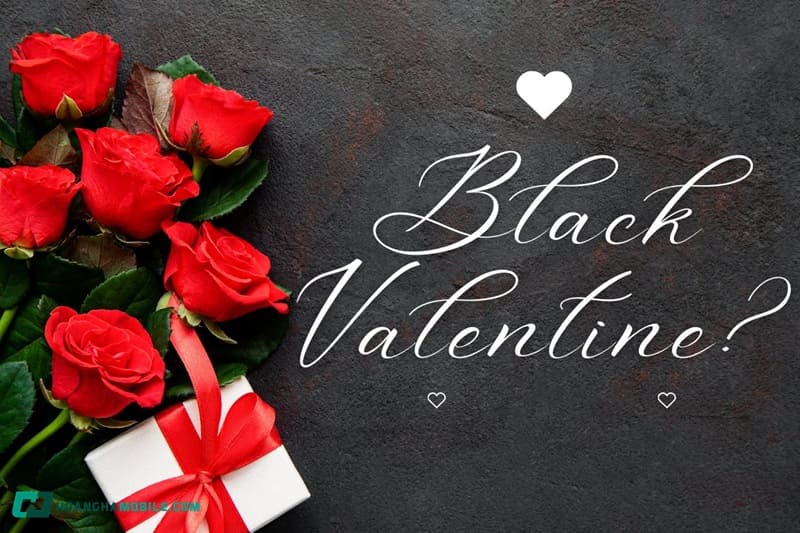 cac-ngay-valentine-06