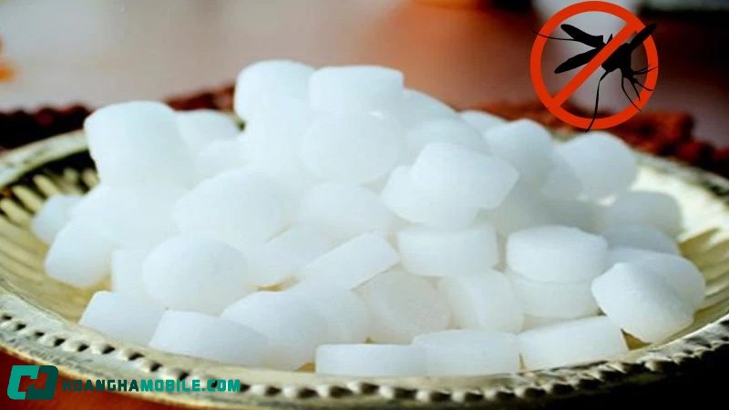 cach-diet-muoi-9