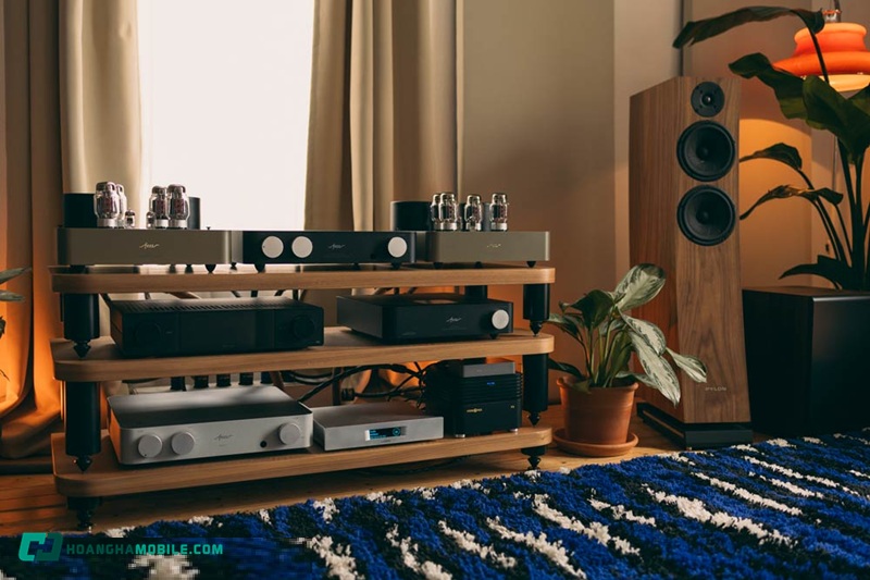 dsd-07