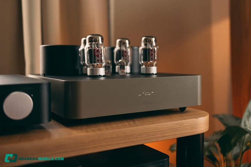 dsd-08