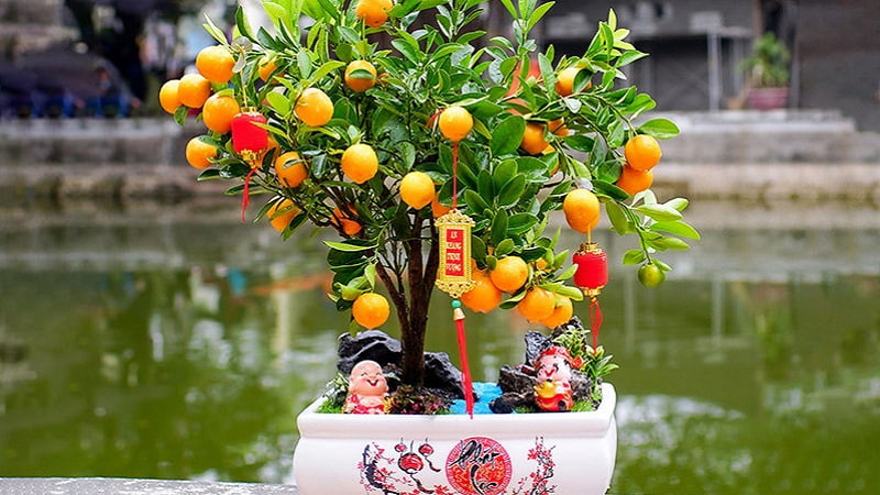 quat-tet-3