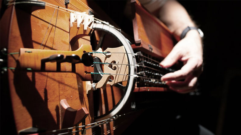 acoustic-la-gi-7