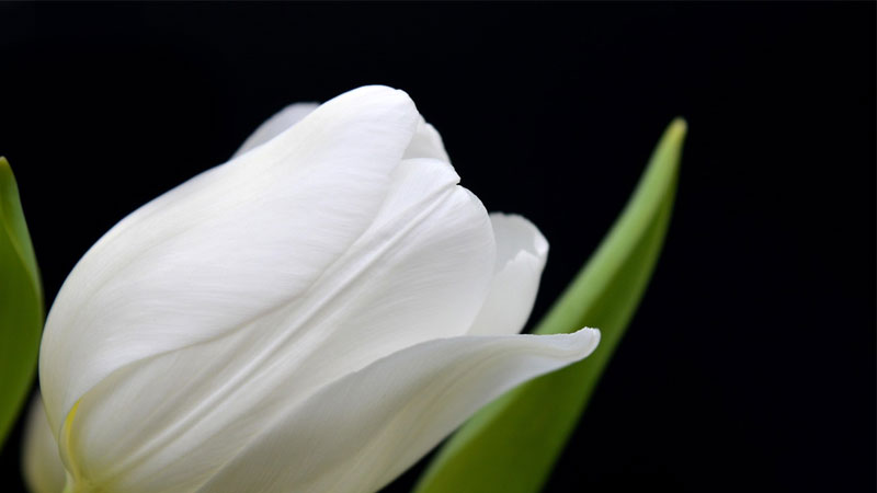 man-hinh-desktop-33