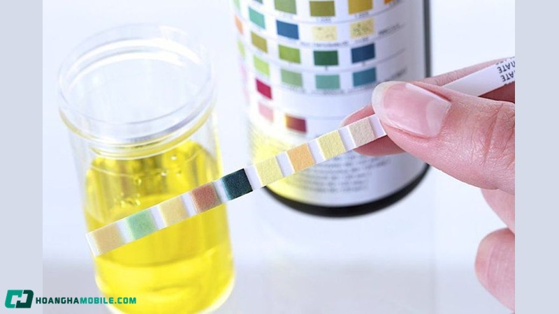 do-ph-cua-nuoc-08