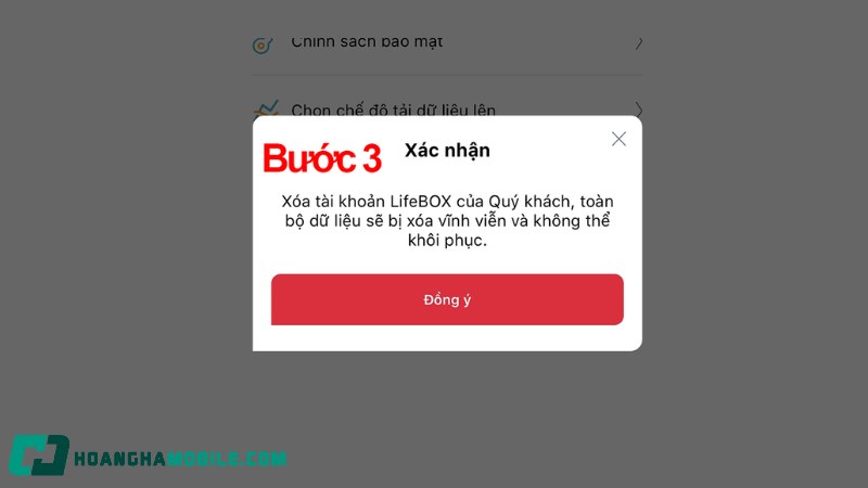 lifebox-8