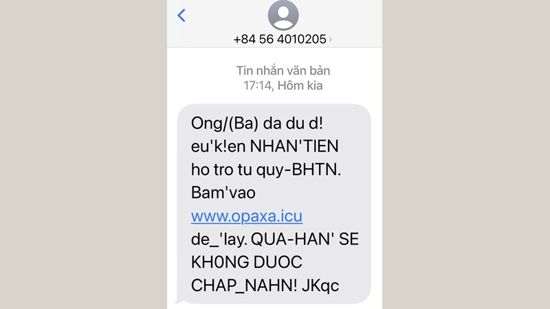 0378-la-mang-gi-10