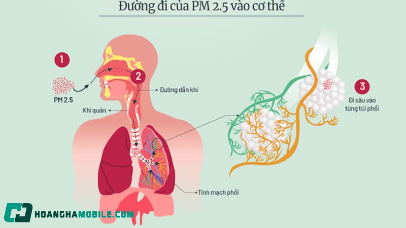 pm2-5-3