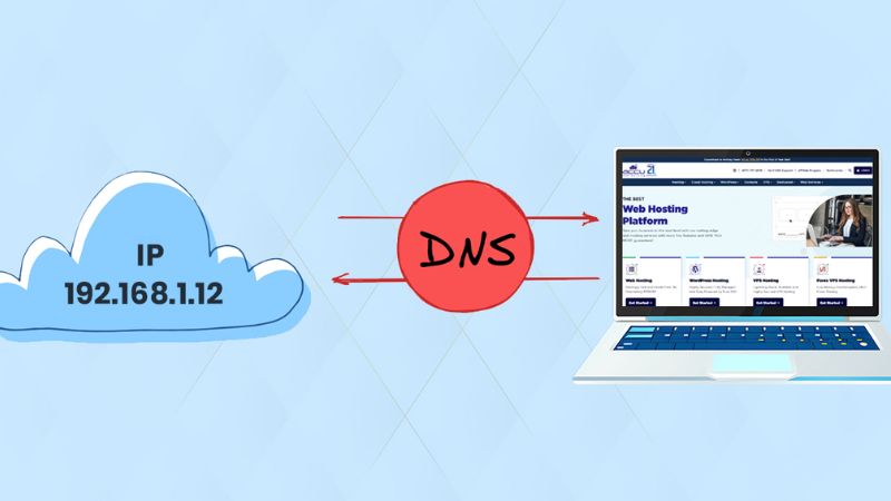 dns-la-gi-8