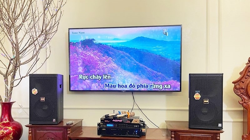 dan-loa-karaoke-8